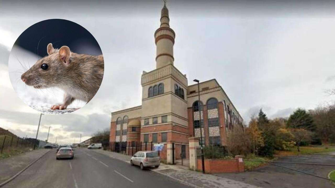The-Council-of-Mosques